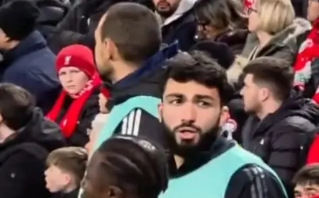 "Musa, papaya de ki..." - Azarkeşlər Qurbanovun oğlundan nə istədi? + VİDEO