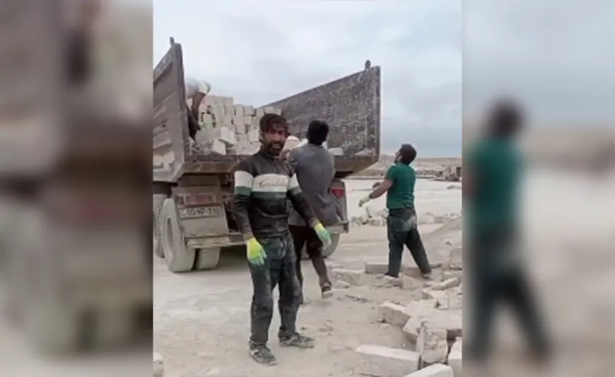 Meyiti tapılan Kamalın papağı başqa yerdə aşkarlanıb 