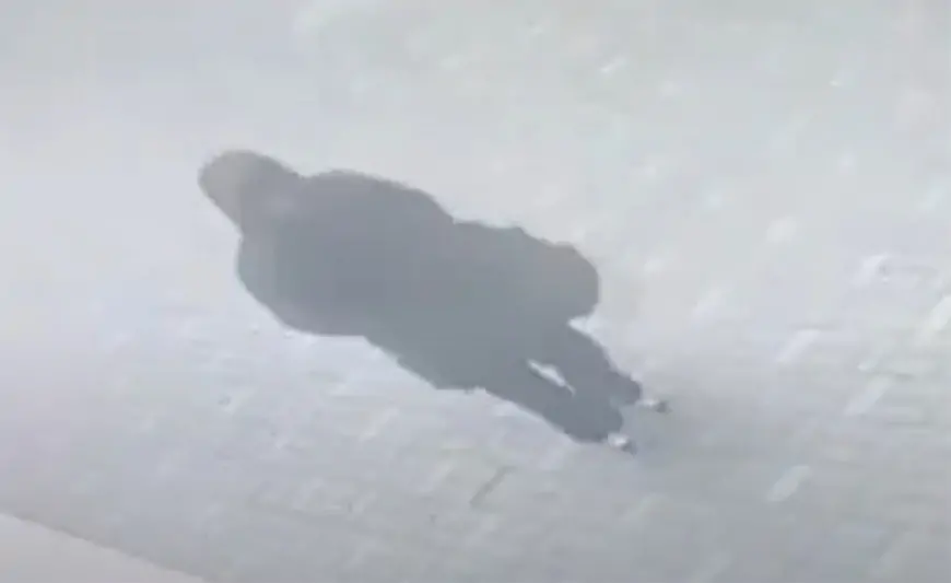 Yasamaldakı həmin qara paltarlı qadın saxlanıldı - VİDEOSU