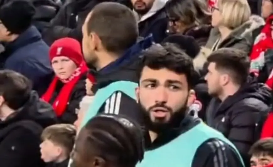 "Musa, papaya de ki..." - Azarkeşlər Qurbanovun oğlundan nə istədi? + VİDEO