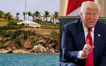 "Epşteyn adası" ilə Qrenlandiyanı birləşdirən ŞOK DETAL - Tramp buna görə inad edirmiş