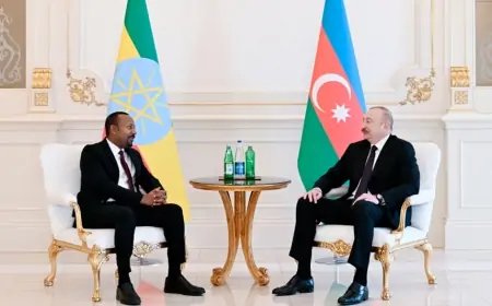 Prezident Efiopiyanın Baş nazirini qəbul etdi - FOTOLAR