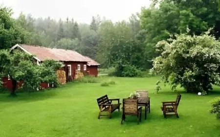 Azərbaycanda bu kəndlərin adları dəyişdiriləcək - YENİ ADLAR