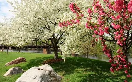 Sabah hava necə olacaq? 