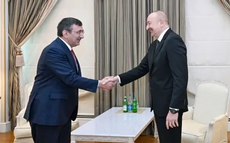 Prezident Cevdet Yılmazı qəbul etdi 