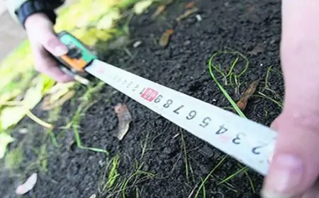 Bakıda ən ucuz torpaq bu ərazilərdədir - QİYMƏTLƏR