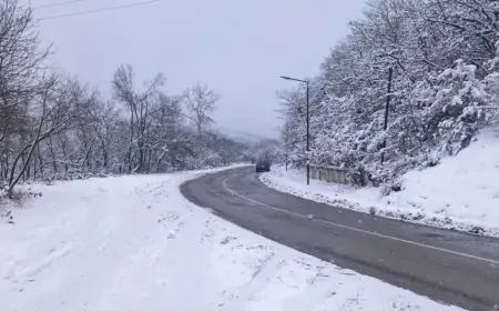 Bu ərazilərə qar yağır - FAKTİKİ HAVA