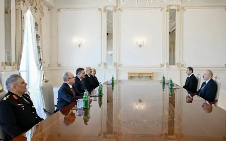 İlham Əliyev Türkiyənin daxili işlər nazirini qəbul edib