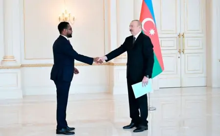 Prezident bu ölkələrin yeni səfirlərini qəbul etdi - FOTOLAR