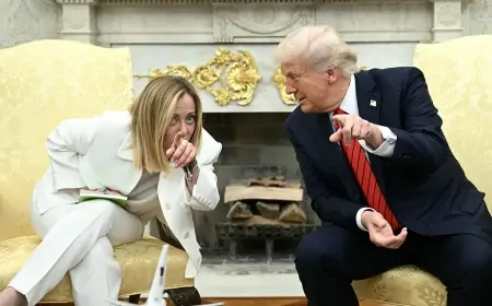 Tramp Melonidən narazıdır - "Ondan bunu gözləməzdim"