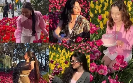 Bulvarda gülləri əzənlər məşhur bloqerlər imiş - ADLAR