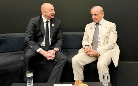 İlham Əliyev Şahbaz Şəriflə görüşdü - FOTO