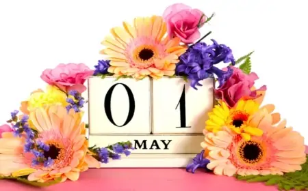 Sabah hava necə olacaq? 