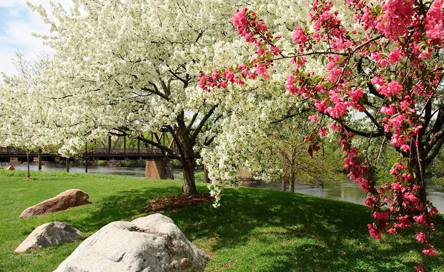 Sabah hava necə olacaq? 