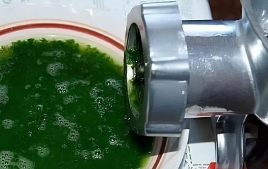 Ölümünü gözləyən qadın özünü xərçəngdən sağaltdı - 1975-ci ilin sehrli resepti