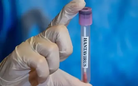 Hantavirus təhlükəsi Azərbaycan sərhədində - 3 nəfər karantinə alındı