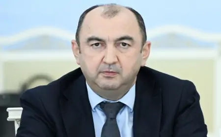 Nazir müavini Vüqar Kərimova ağır ittihamlar - “Meşə mafiyası”nın başında kim dayanır?