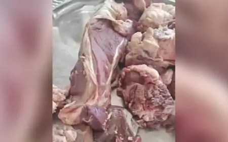 Şəhid ailələrinə qurdlamış qurban payı göndərildi - Cəlilabad RİH “günah qəssabdadır” dedi