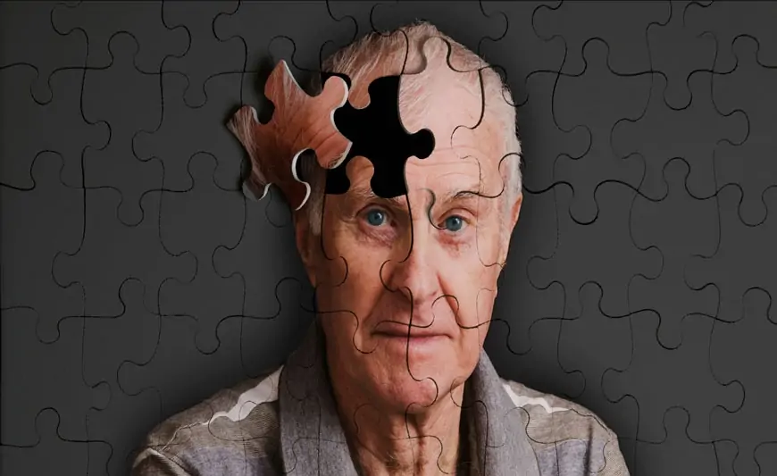 Alzheimer xəstəliyindən qoruyan möcüzəvi qida – Cəmi 20 qəpikdir