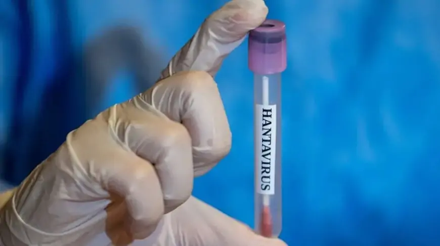 Hantavirus təhlükəsi Azərbaycan sərhədində - 3 nəfər karantinə alındı