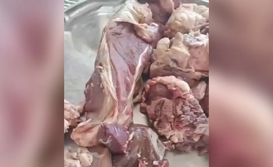 Şəhid ailələrinə qurdlamış qurban payı göndərildi - Cəlilabad RİH “günah qəssabdadır” dedi