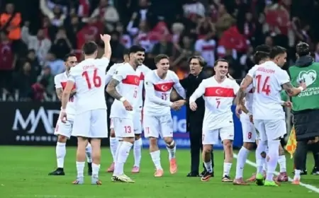 Türkiyə DÇ-2026-ya bu futbolçularla gedir - HEYƏT BİLİNDİ
