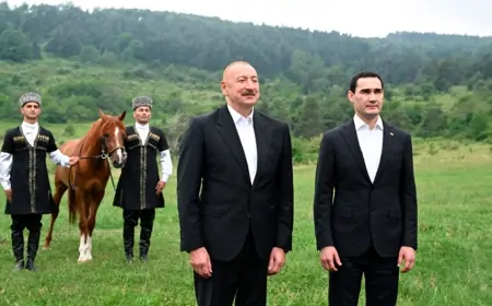 Sərdar Berdiməhəmmədova “Mərd” adlı Qarabağ atı hədiyyə olundu - FOTOLAR