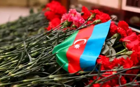 Müdafiə Nazirliyinin şəhid hərbçiləri və mülki işçiləri təltif olundu - SƏRƏNCAM