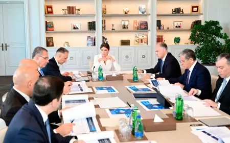 Mehriban Əliyevanın sədrliyi ilə Rəqəmsal İnkişaf Şurasının ilk iclası keçirilib - FOTOLAR