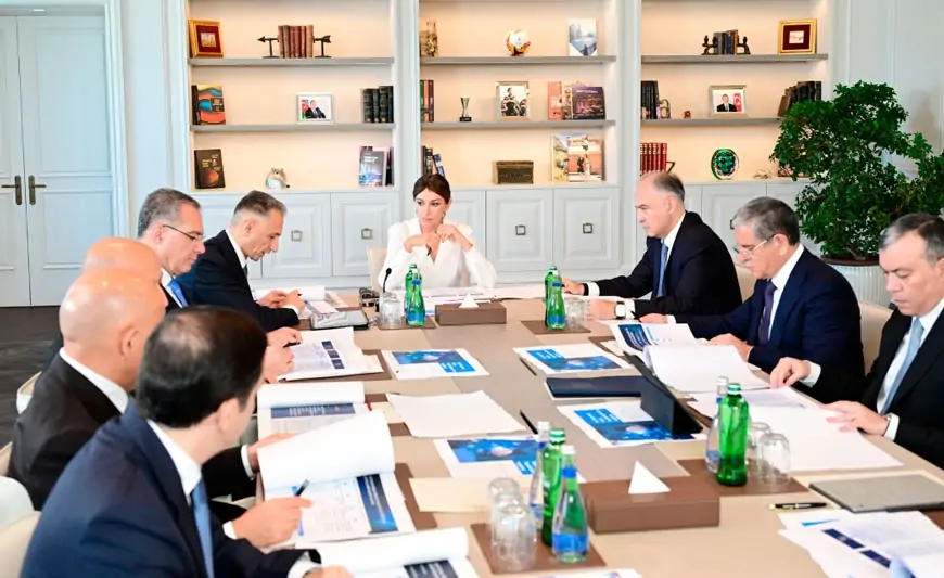 Mehriban Əliyevanın sədrliyi ilə Rəqəmsal İnkişaf Şurasının ilk iclası keçirilib - FOTOLAR