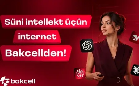 Süni intellekt üçün internet Bakcelldən