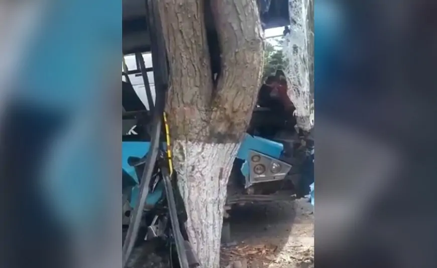 Bakıda marşrut avtobusu ağaca çırpıldı, 11 yaralı - VİDEO