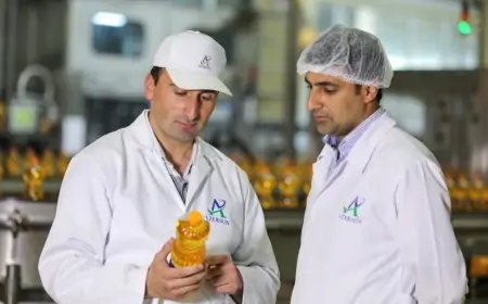 “Azərsun Holdinq” yerli xammaldan günəbaxan yağı istehsalını 4000 tona çatdıracaq 