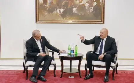 “Gürcü suyu içirsən, Azərbaycan suyundan da iç” - Əliyevlə Pezeşkianın dialoqu + VİDEO