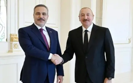 Prezident Hakan Fidanı qəbul etdi  
