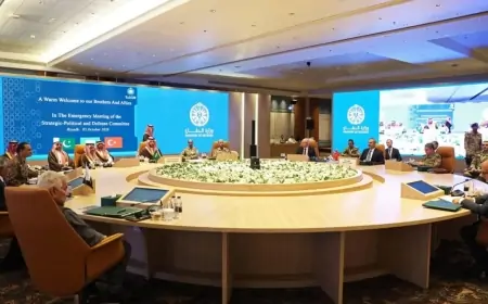 Türkiyə və Pakistan hərbçiləri Səudiyyə Ərəbistanına yerləşdiriləcək 