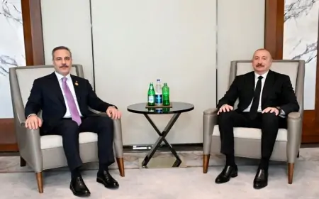 İlham Əliyev Hakan Fidanı qəbul etdi 
