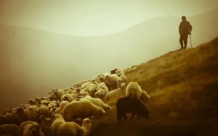 Azərbaycanlı çoban Ermənistana keçdi 